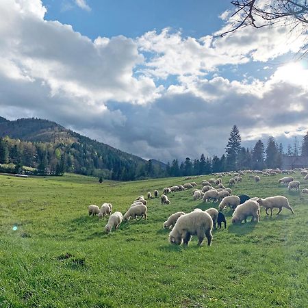 Tamok Lifestyle Villa Zakopane Bagian luar foto